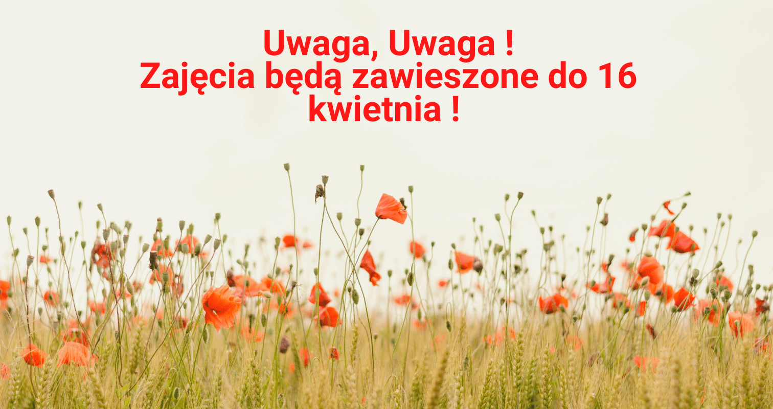 zajecia www 1